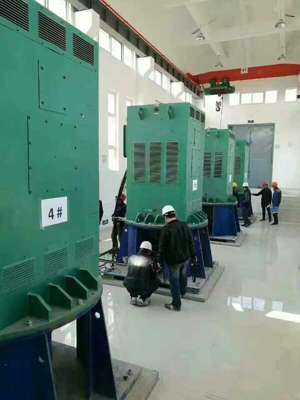 进贤某污水处理厂使用我厂的立式高压电机安装现场